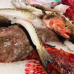 Pescado de roca